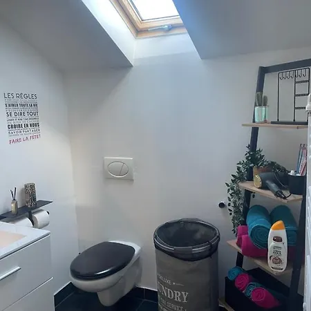 Le Cocon De La Belle Liegeoise Apartment