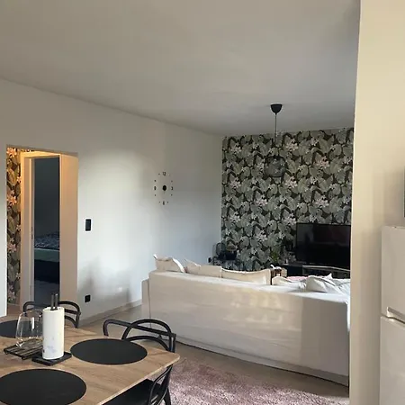 Le Cocon De La Belle Liegeoise Apartment Liege