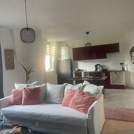 Le Cocon De La Belle Liegeoise Apartment Liege
