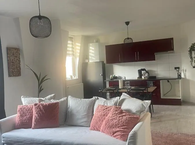 Le Cocon De La Belle Liegeoise Lejlighed Liège